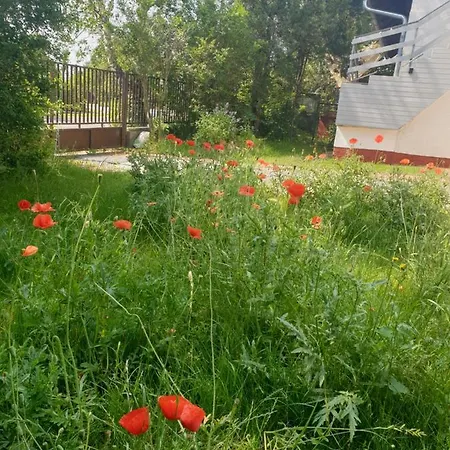 Thefi Vendégház Apartman